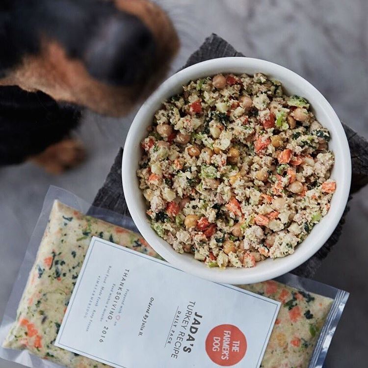 6 Benefits of Feeding Your Dog Fresh, Real Food the Digest